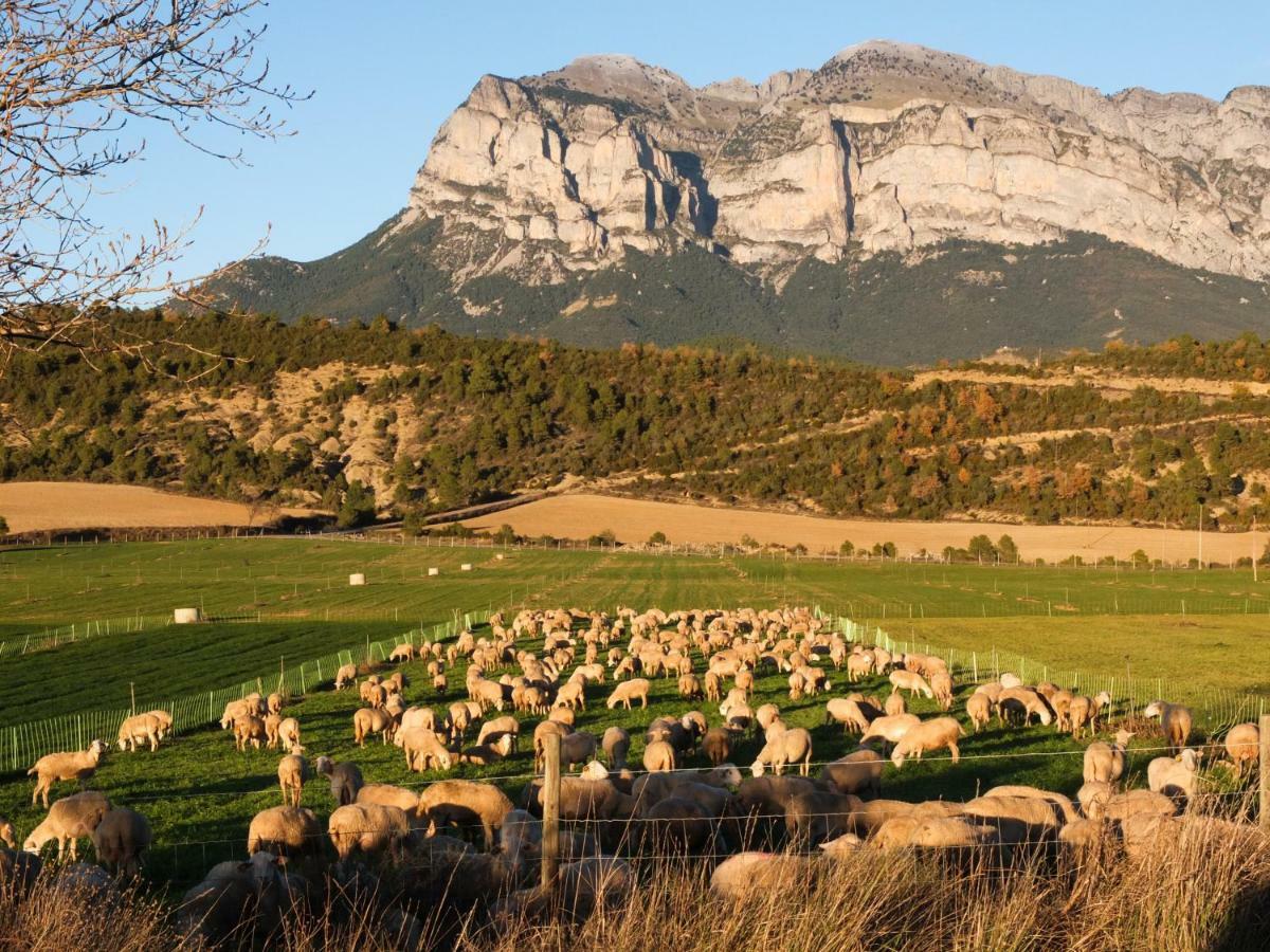 Penzion O Chardinet D'A Formiga Aínsa Exteriér fotografie